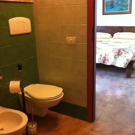 Agave Alghero 페틸리아