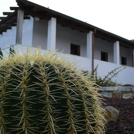 Agave Alghero Farma Fertilia
