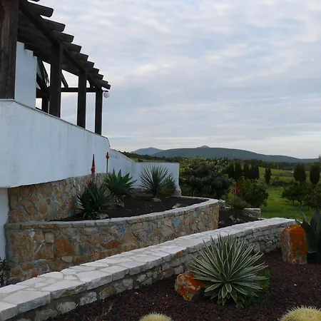 Agave Alghero *