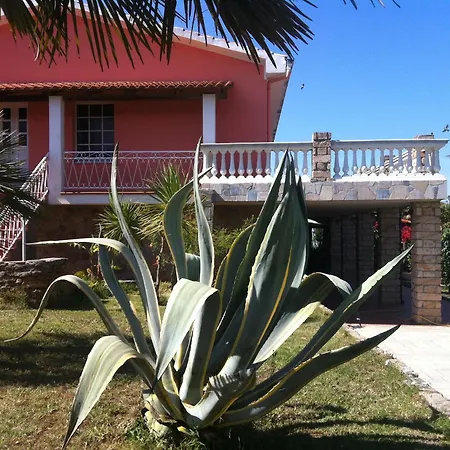 Agave Alghero *